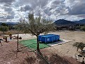 Semi-detached country house in La Romana in Daft on Spain 