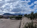 Semi-detached country house in La Romana in Daft on Spain 