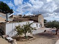 Semi-detached country house in La Romana in Daft on Spain 