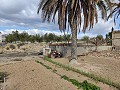Semi-detached country house in La Romana in Daft on Spain 