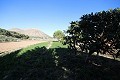 Chalet Independiente en Aspe in Daft on Spain 