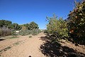 Chalet Independiente en Aspe in Daft on Spain 