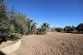 Chalet Independiente en Aspe in Daft on Spain 