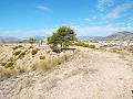 Une vue imprenable de ce terrain à Macisvenda in Daft on Spain 