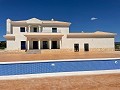 Neubau mit Pool in Pinoso in Daft on Spain 