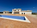Neubau mit Pool in Pinoso in Daft on Spain 
