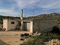 Maison de campagne de 3 chambres et dépôt de stockage à 10 minutes à pied de la ville de Barinas in Daft on Spain 