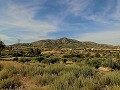 Maison de campagne de 3 chambres et dépôt de stockage à 10 minutes à pied de la ville de Barinas in Daft on Spain 