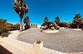 Impresionante villa de 7 dormitorios con piscina en Barbarroja in Daft on Spain 