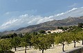 Große Geschäftsmöglichkeit mit diesem 6-Bett-B & B in Alicante in Daft on Spain 