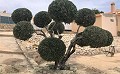 Große Geschäftsmöglichkeit mit diesem 6-Bett-B & B in Alicante in Daft on Spain 