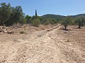 Baugrundstück in Biar in Daft on Spain 