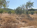 Baugrundstück in Biar in Daft on Spain 