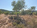 Baugrundstück in Biar in Daft on Spain 