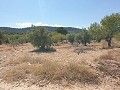 Baugrundstück in Biar in Daft on Spain 