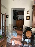 Alte Finca komplett renoviert mit Swimmingpool und originaler Bodega in Daft on Spain 