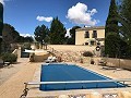 Alte Finca komplett renoviert mit Swimmingpool und originaler Bodega in Daft on Spain 