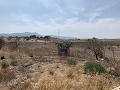 Beautiful renovated finca with pool in Daft on Spain 