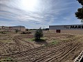 Detached Urban country house in Novelda in Daft on Spain 