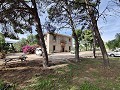 Detached Urban country house in Novelda in Daft on Spain 