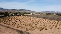 Terrain constructible uniquement pour construction neuve, à Paredon, Pinoso in Daft on Spain 