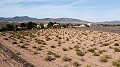 Terrain constructible uniquement pour construction neuve, à Paredon, Pinoso in Daft on Spain 
