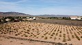 Terrain constructible uniquement pour construction neuve, à Paredon, Pinoso in Daft on Spain 