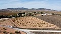 Terrain constructible uniquement pour construction neuve, à Paredon, Pinoso in Daft on Spain 