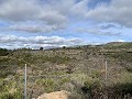 3-Bett-Villa mit 11 Hektar Land in Daft on Spain 