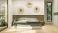 Ultramoderne Villa mit 4 Schlafzimmern und einem 8x4-Swimmingpool in Daft on Spain 