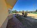 Hermosa villa de 3 dormitorios y 2 baños en Fortuna in Daft on Spain 