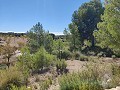 Detached country house between Monovar and Pinoso in Daft on Spain 