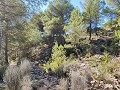Detached country house between Monovar and Pinoso in Daft on Spain 