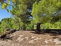 Detached country house between Monovar and Pinoso in Daft on Spain 