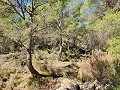 Detached country house between Monovar and Pinoso in Daft on Spain 