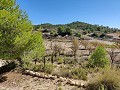 Detached country house between Monovar and Pinoso in Daft on Spain 