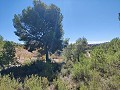 Detached country house between Monovar and Pinoso in Daft on Spain 