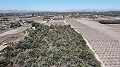 Terre dans Elche - Revente in Daft on Spain 