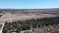 Terre dans Elche - Revente in Daft on Spain 