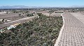 Terre dans Elche - Revente in Daft on Spain 