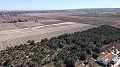 Terre dans Elche - Revente in Daft on Spain 