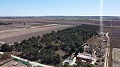 Terre dans Elche - Revente in Daft on Spain 
