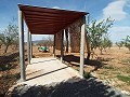 Villa moderna de 3 dormitorios a pie de la ciudad con casas de huéspedes in Daft on Spain 