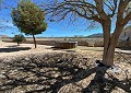 Beautiful 140 Year Old Farmhouse in Salinas in Daft on Spain 