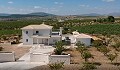 Dream New Build Villas in Alicante's beautiful countryside in Daft on Spain 