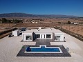 New build Mordern villa in Pinoso with pool and plot included in Daft on Spain 