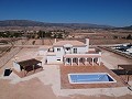 Schöne neue Villa zum Verkauf in Pinoso in Daft on Spain 