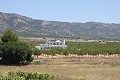 Schöne neue Villa zum Verkauf in Pinoso in Daft on Spain 