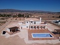 Schöne neue Villa zum Verkauf in Pinoso in Daft on Spain 