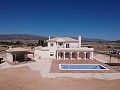 Schöne neue Villa zum Verkauf in Pinoso in Daft on Spain 
